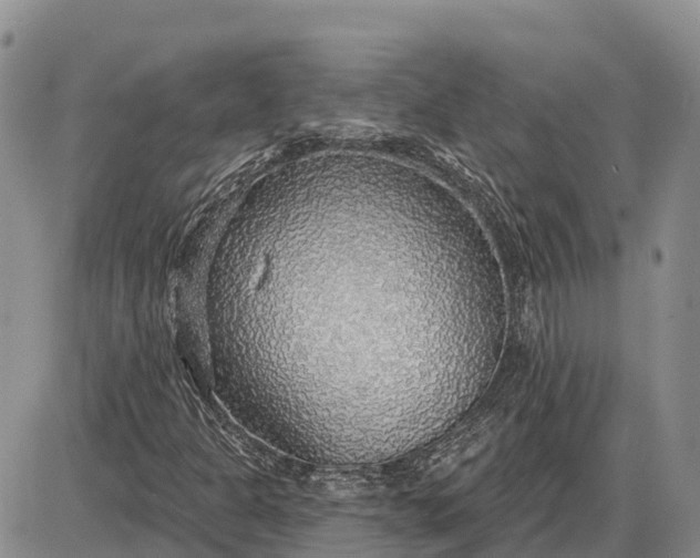 X0000085241301200703231614