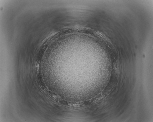 X0000085241302200703231614
