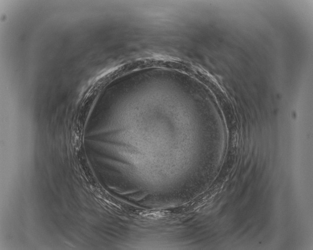 X0000085241303200703231614