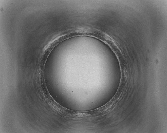 X0000085241304200703231614
