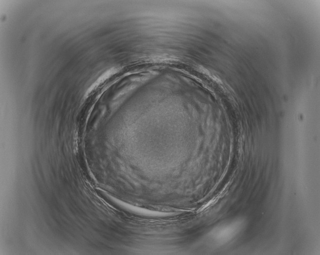 X0000085241306200703231614