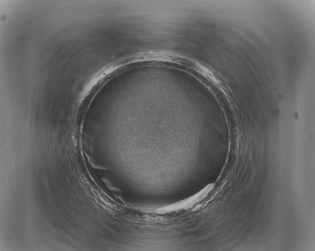 X0000085241312200703231614