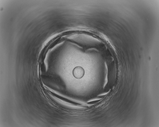 X0000085241320200703231614