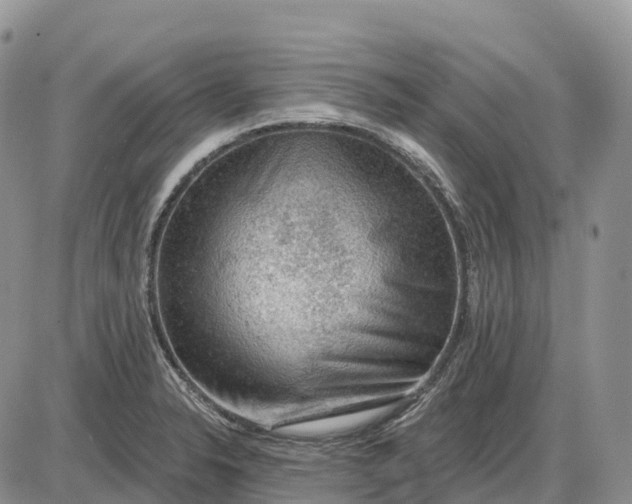 X0000085241326200703231614