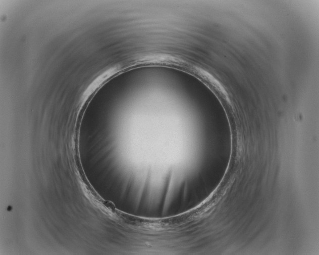 X0000085241330200703231614
