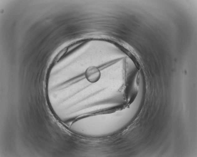 X0000085241334200703231614