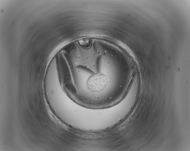X0000085241338200703231614