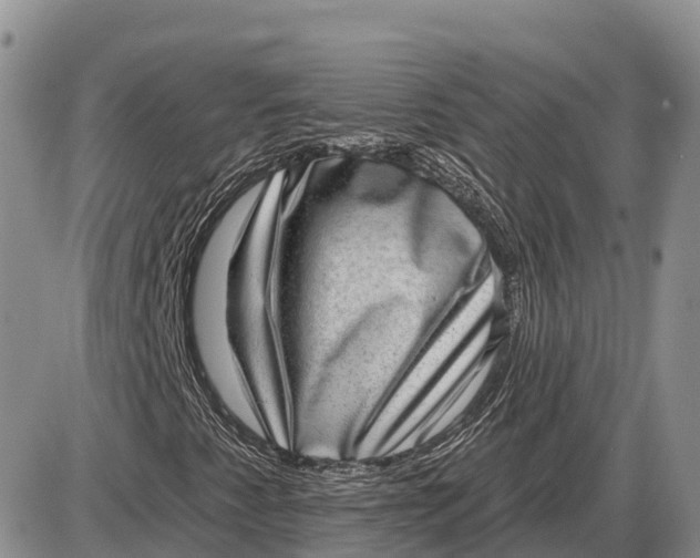X0000085241345200703231614