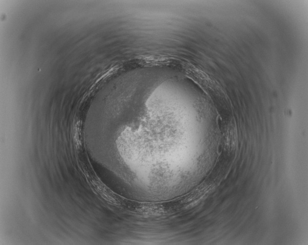 X0000085241346200703231614