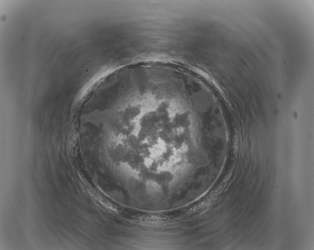 X0000085241359200703231613