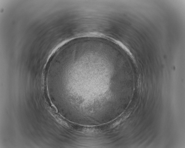 X0000085241364200703231613
