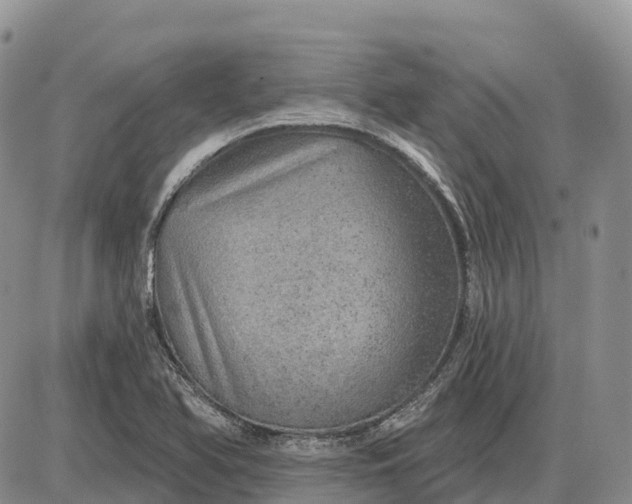 X0000085241366200703231613