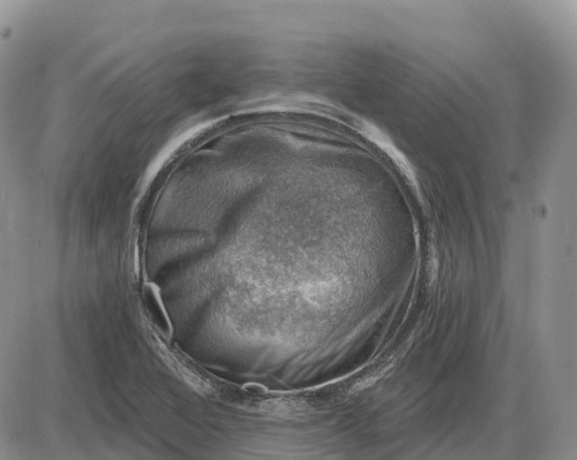 X0000085241368200703231613