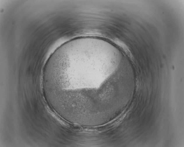 X0000085241374200703231613