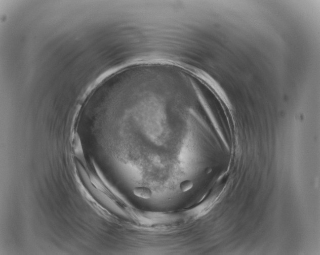X0000085241388200703231613