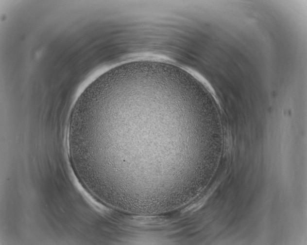 X0000085241391200703231613
