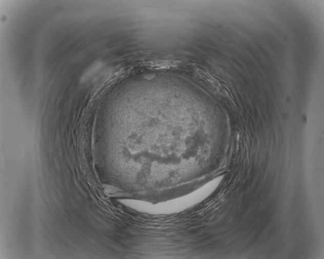 X0000085241393200703231612
