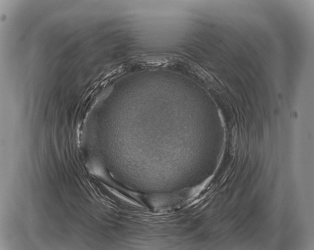 X0000085241394200703231612