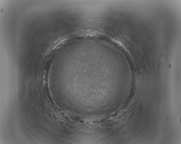 X0000085241399200703231612
