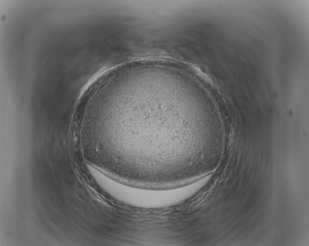 X0000085241400200703231612