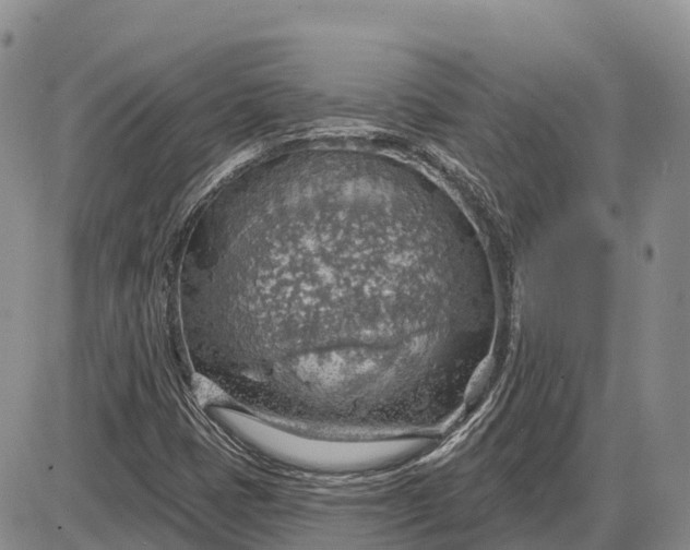 X0000085241401200703231612