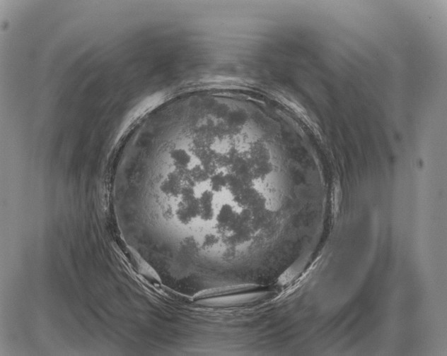 X0000085241405200703231612