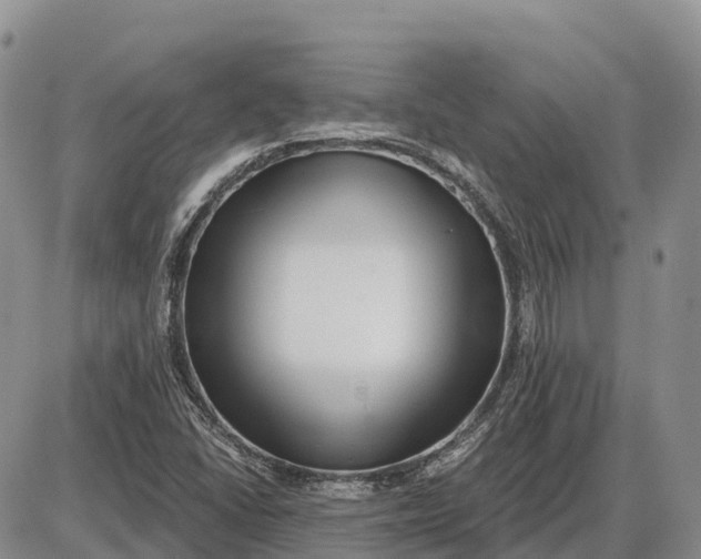 X0000085241406200703231612