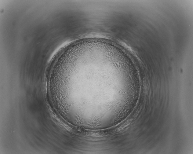 X0000085241408200703231612