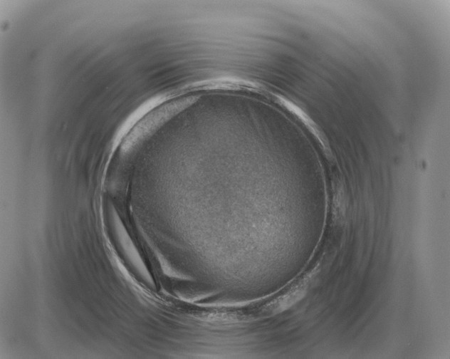 X0000085241418200703231612