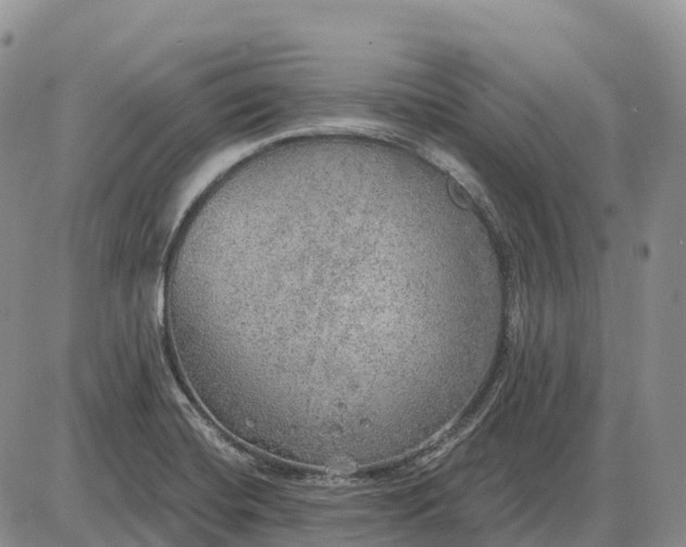 X0000085241420200703231613