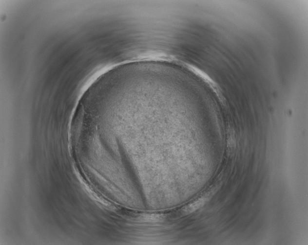 X0000085241423200703231613
