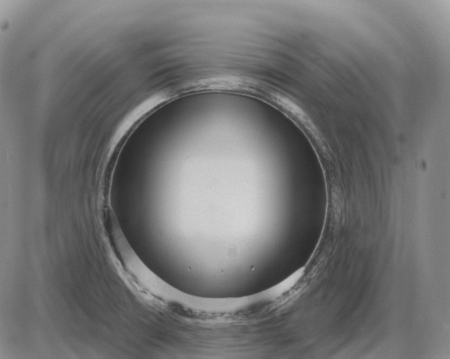 X0000085241426200703231613