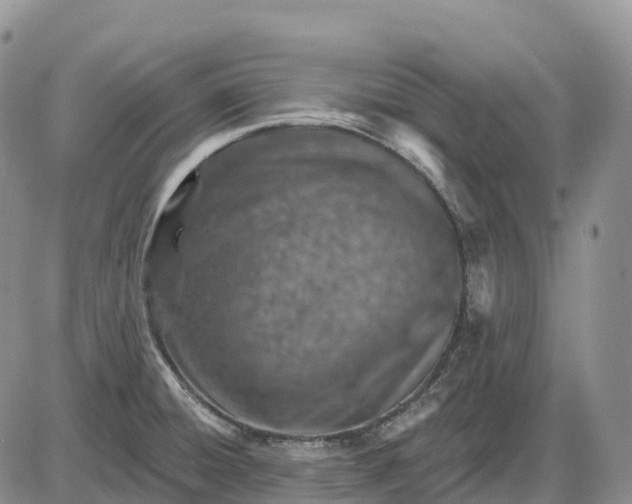X0000085241428200703231613