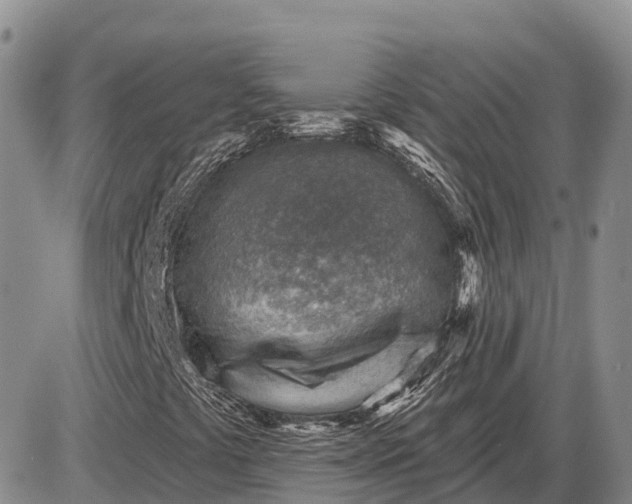 X0000085241441200703231612