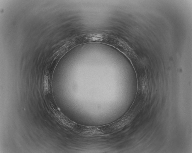 X0000085241442200703231612