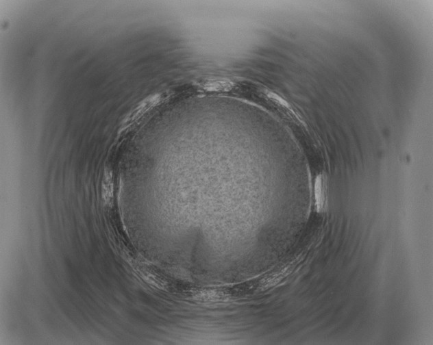 X0000085241443200703231612