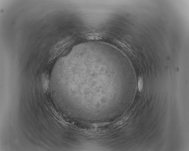 X0000085241444200703231612