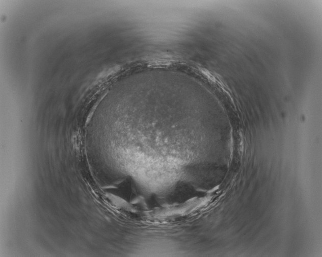 X0000085241445200703231612