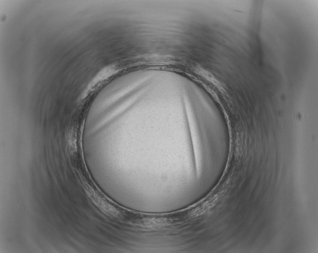 X0000085241451200703231612
