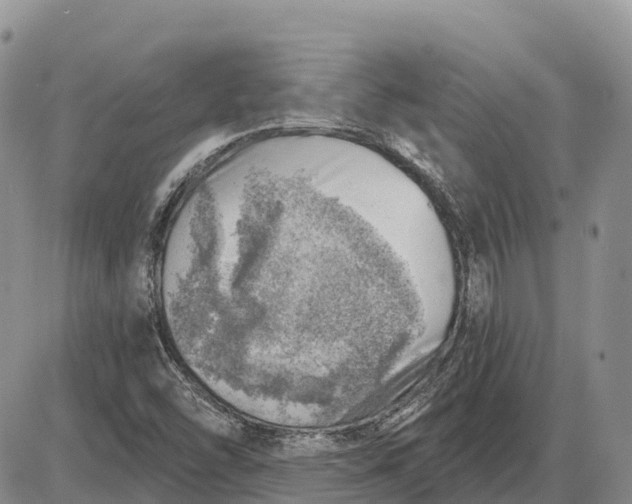 X0000085241454200703231612