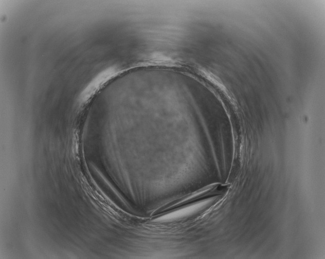 X0000085241455200703231612