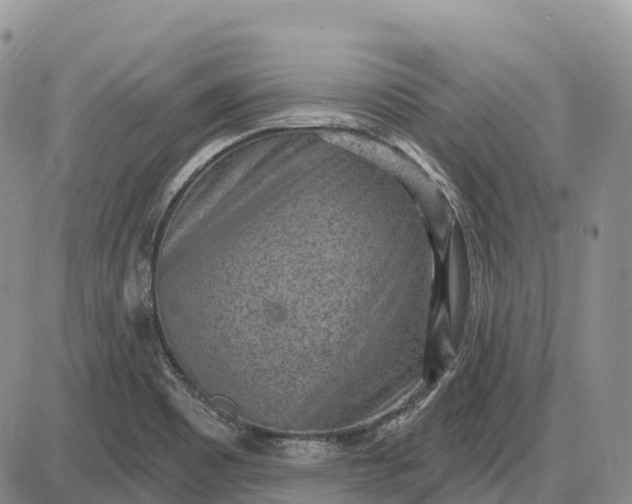 X0000085241465200703231612
