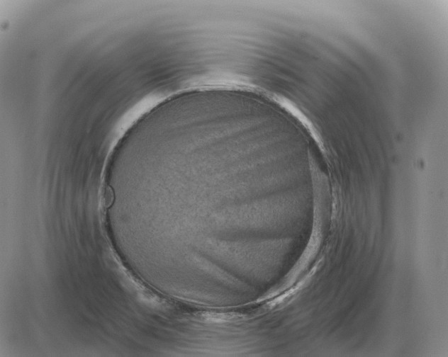 X0000085241469200703231612