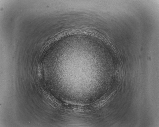 X0000085241490200703231610