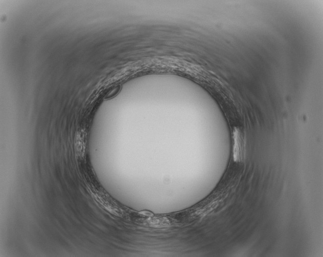X0000085241491200703231610