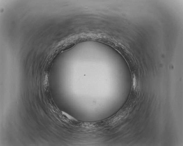 X0000085241492200703231611