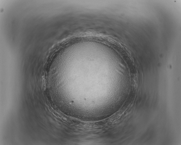 X0000085241493200703231611