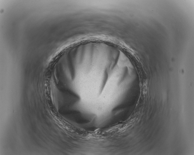 X0000085241496200703231611