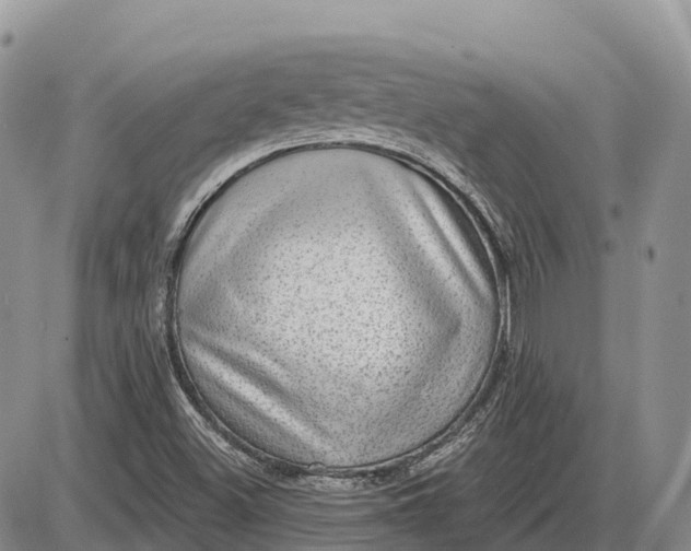 X0000085241500200703231611
