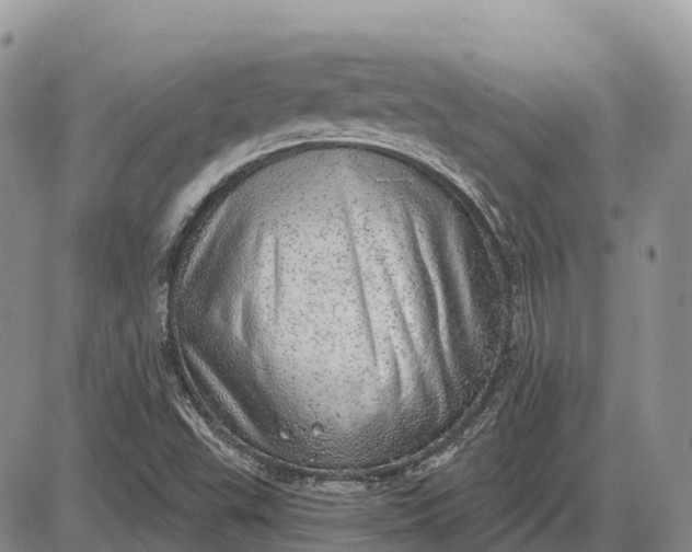 X0000085241503200703231611